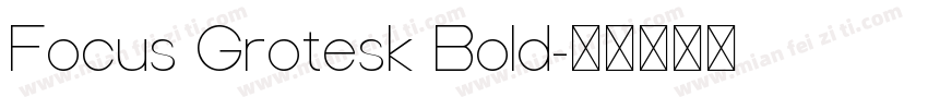 Focus Grotesk Bold字体转换